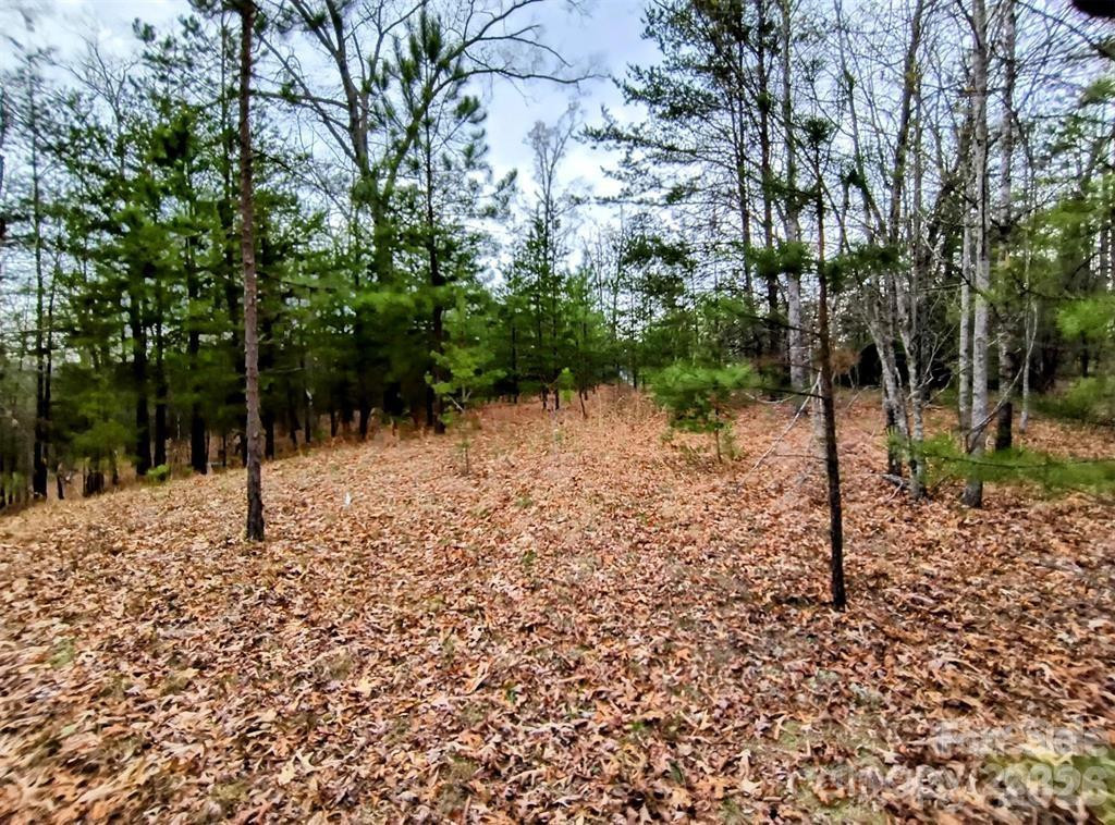 Lot #28 Lake Adger Parkway #28 - Photo 14