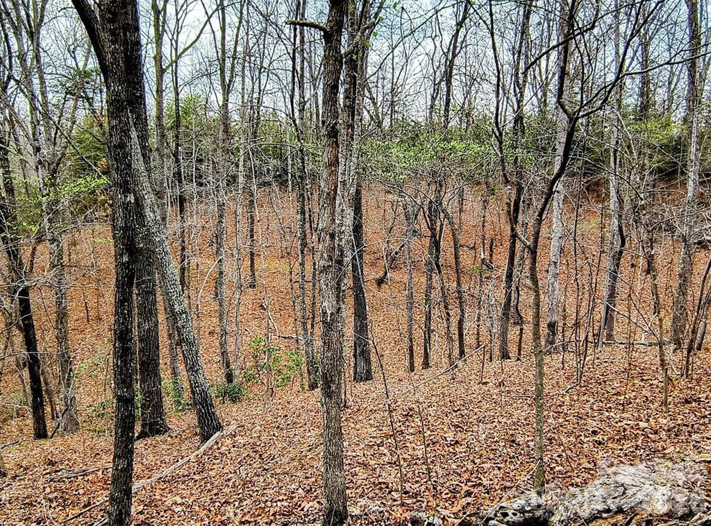 Lot #28 Lake Adger Parkway #28 - Photo 15