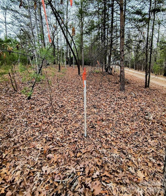 Lot #28 Lake Adger Parkway #28 - Photo 16