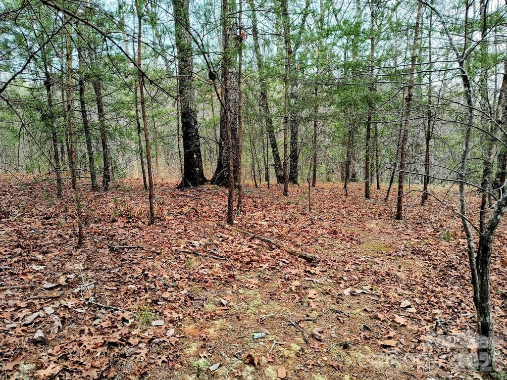 Lot #28 Lake Adger Parkway #28 - Photo 17