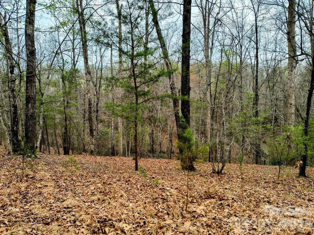 Lot #28 Lake Adger Parkway #28 - Photo 18