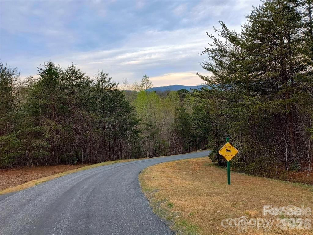 Lot #28 Lake Adger Parkway #28 - Photo 19