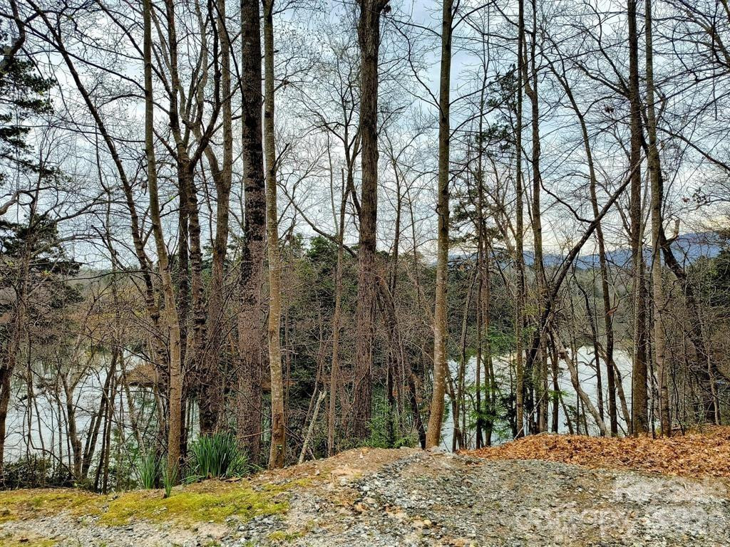 Lot #28 Lake Adger Parkway #28 - Photo 20