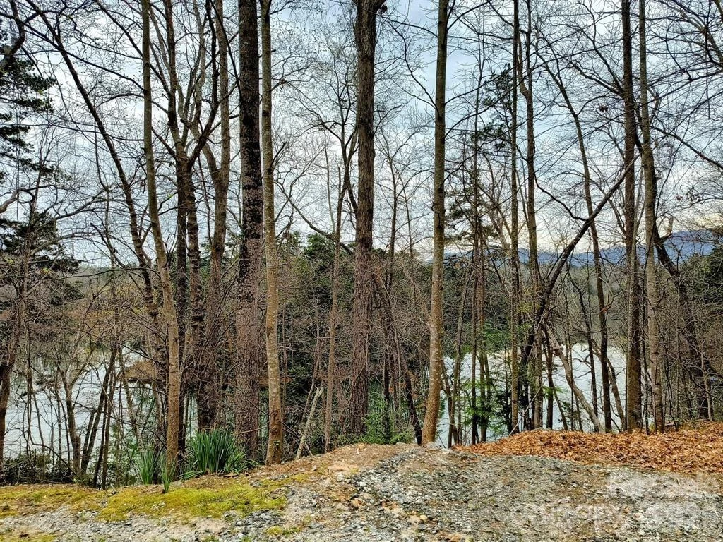 Lot #28 Lake Adger Parkway #28 - Photo 20
