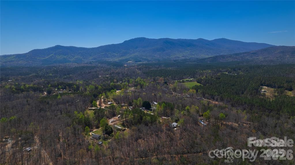 Lot #28 Lake Adger Parkway #28 - Photo 22