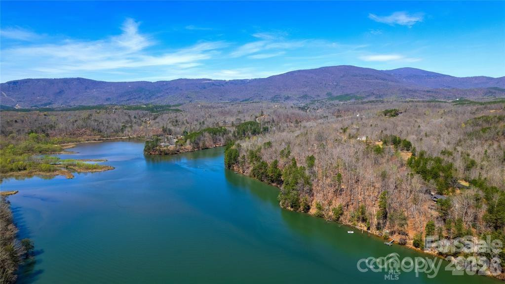 Lot #28 Lake Adger Parkway #28 - Photo 24