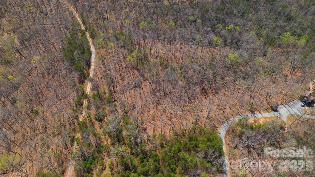 Lot #28 Lake Adger Parkway #28 - Photo 29