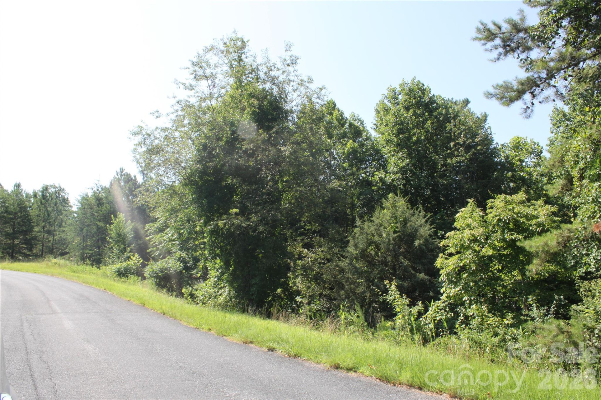 Lot #28 Lake Adger Parkway #28 - Photo 4