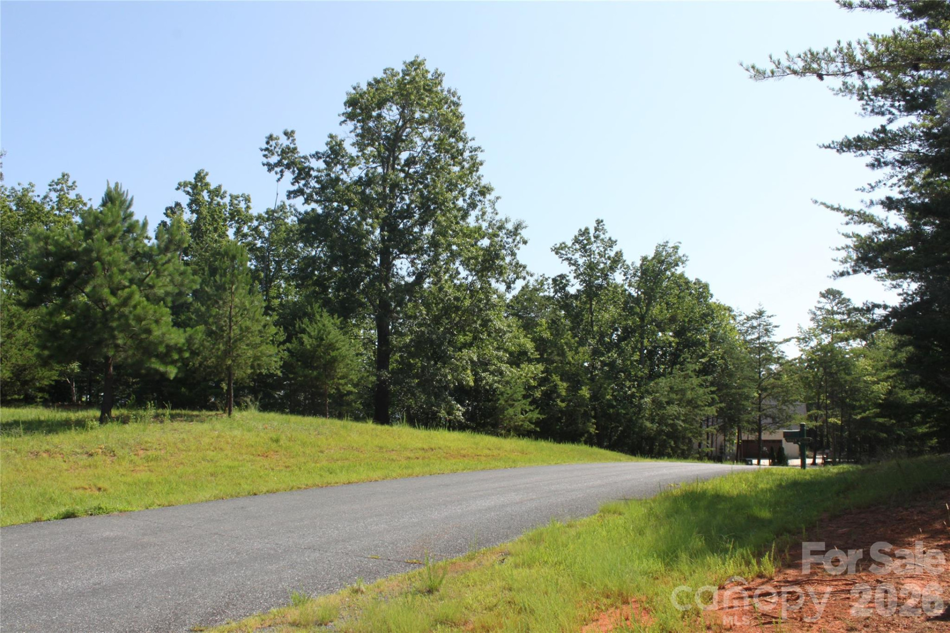 Lot #28 Lake Adger Parkway #28 - Photo 5