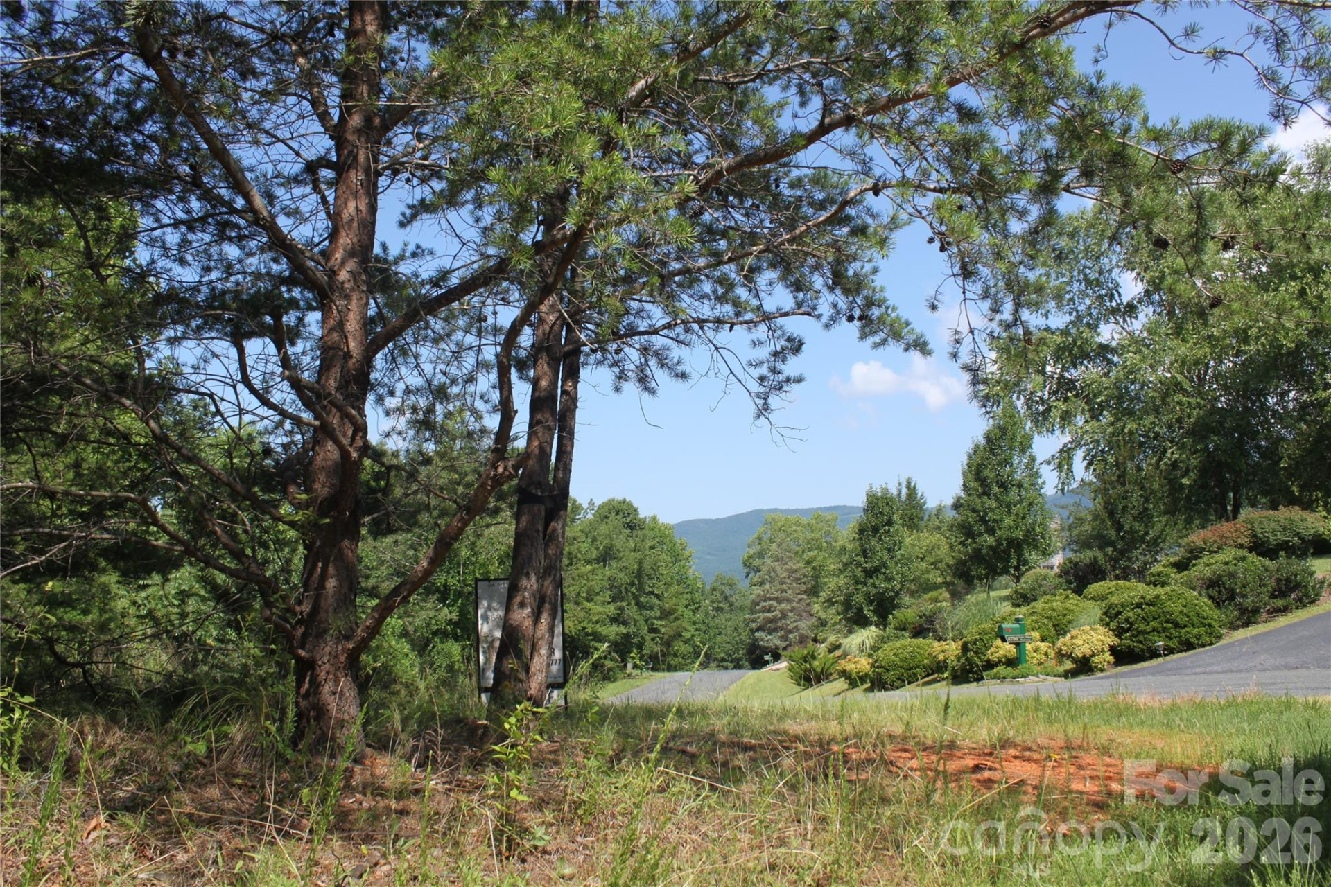 Lot #28 Lake Adger Parkway #28 - Photo 6