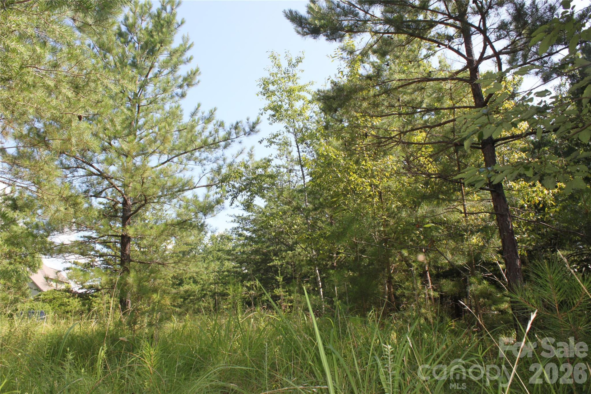 Lot #28 Lake Adger Parkway #28 - Photo 7