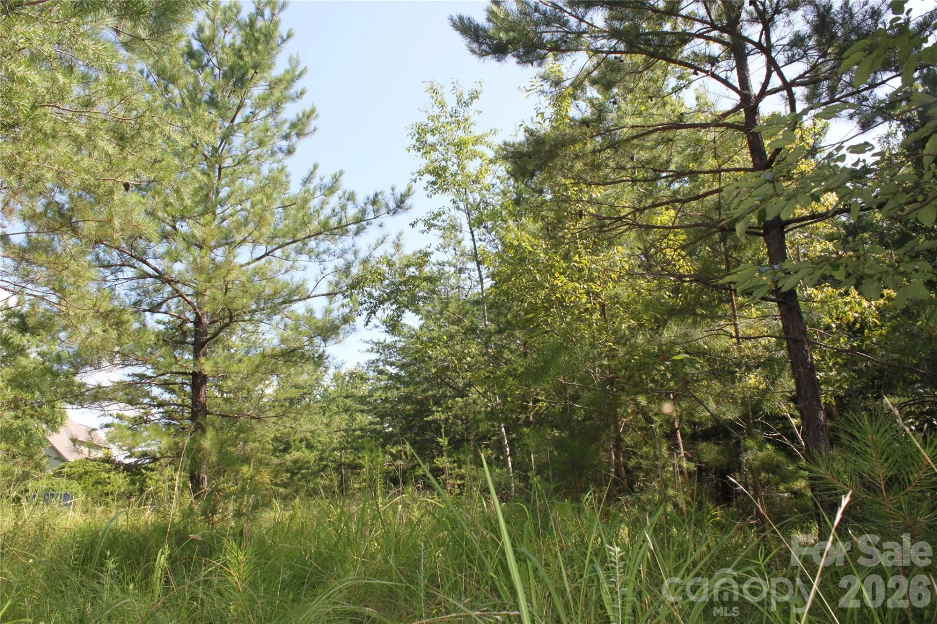 Lot #28 Lake Adger Parkway #28 - Photo 7