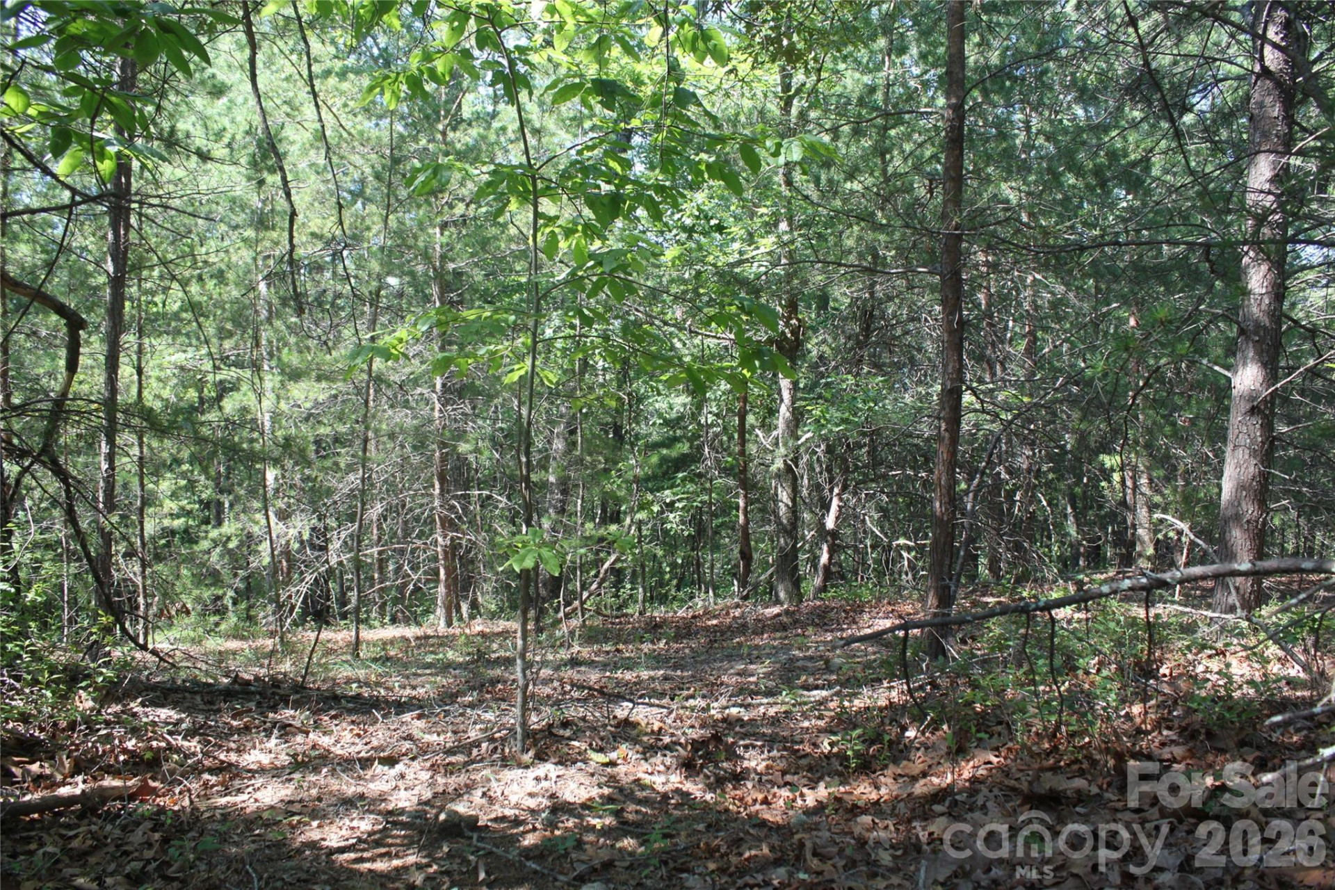 Lot #28 Lake Adger Parkway #28 - Photo 8