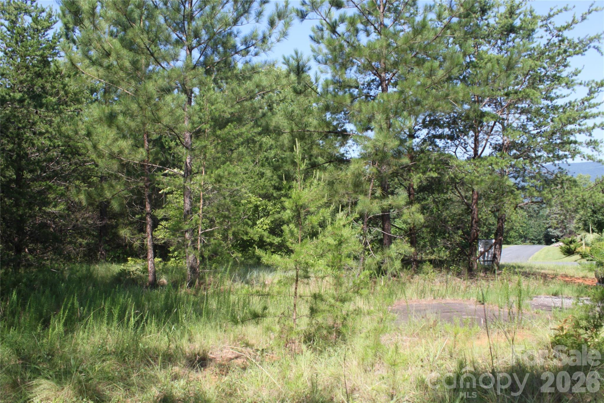 Lot #28 Lake Adger Parkway #28 - Photo 9