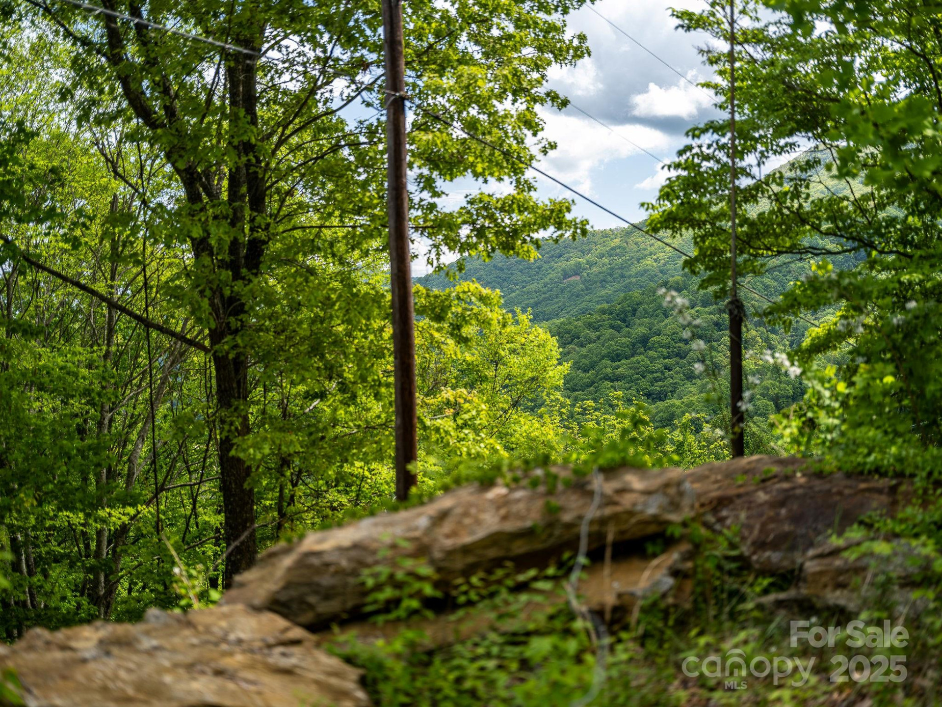 1851 Newfound Road - Photo 12