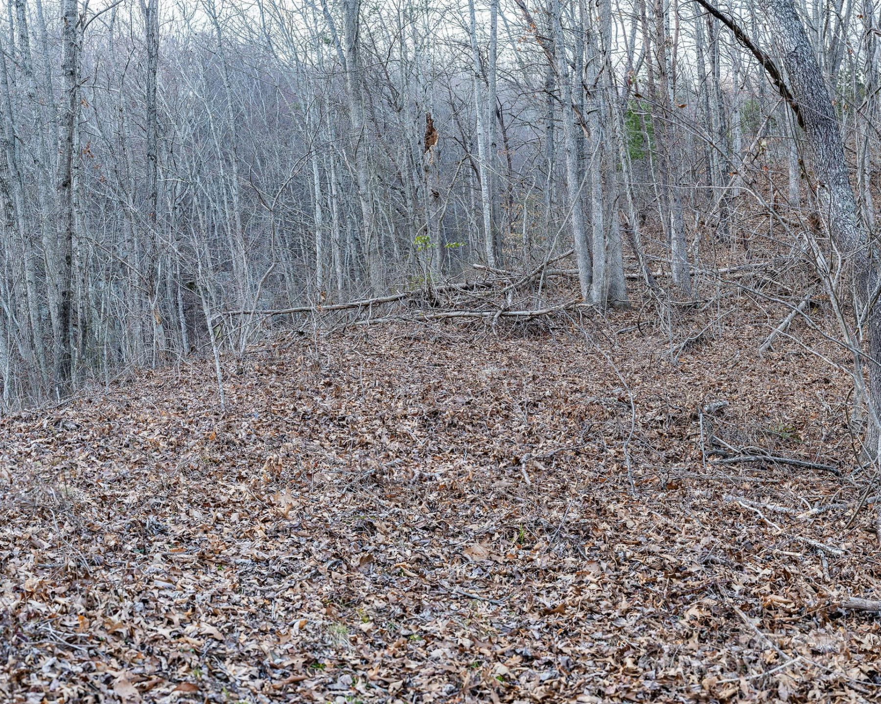 1851 Newfound Road - Photo 13