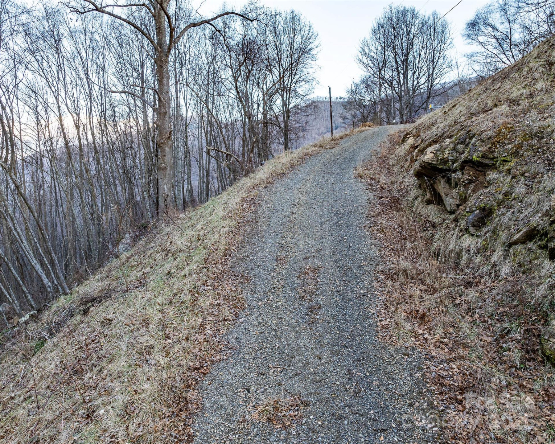 1851 Newfound Road - Photo 14