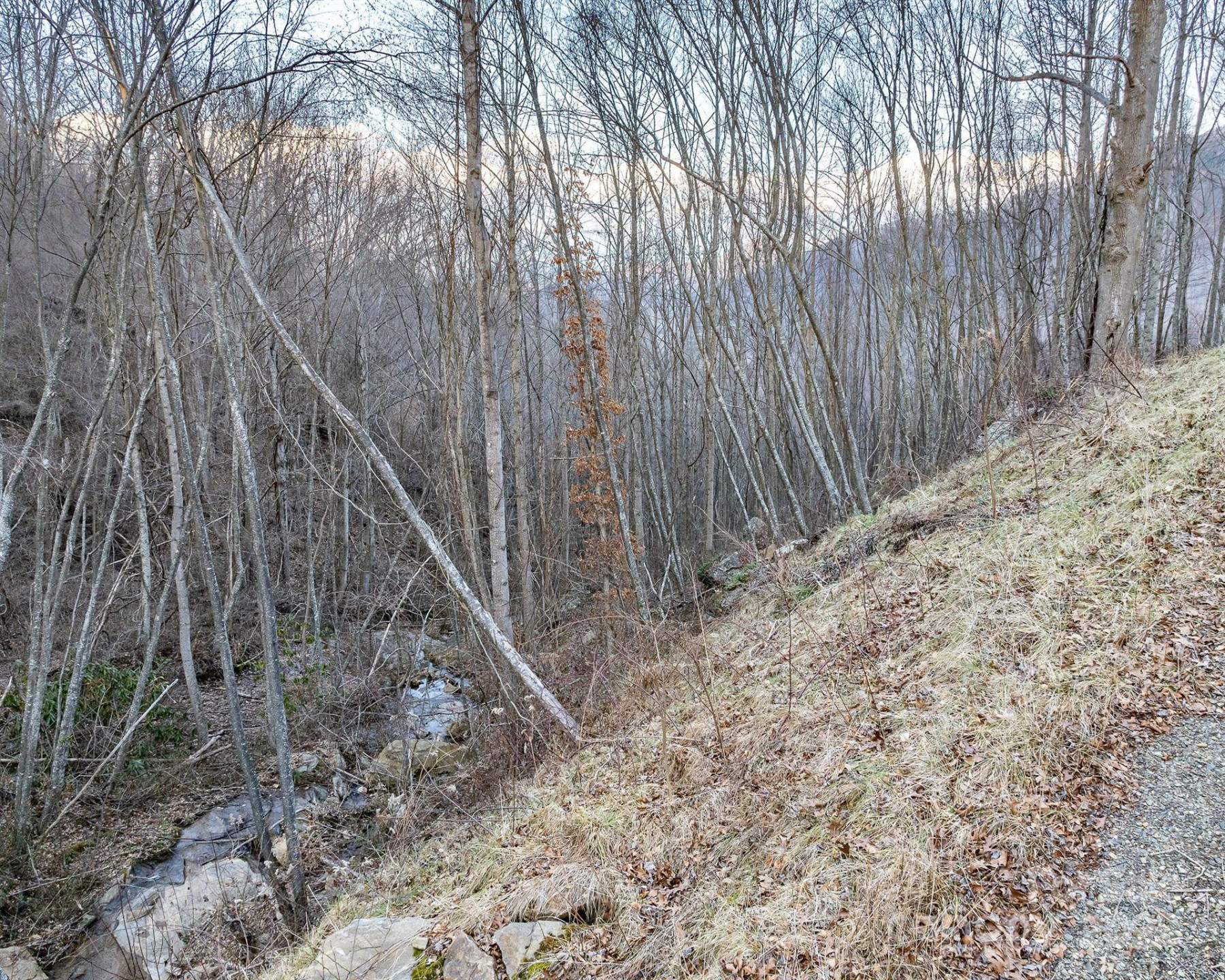1851 Newfound Road - Photo 15