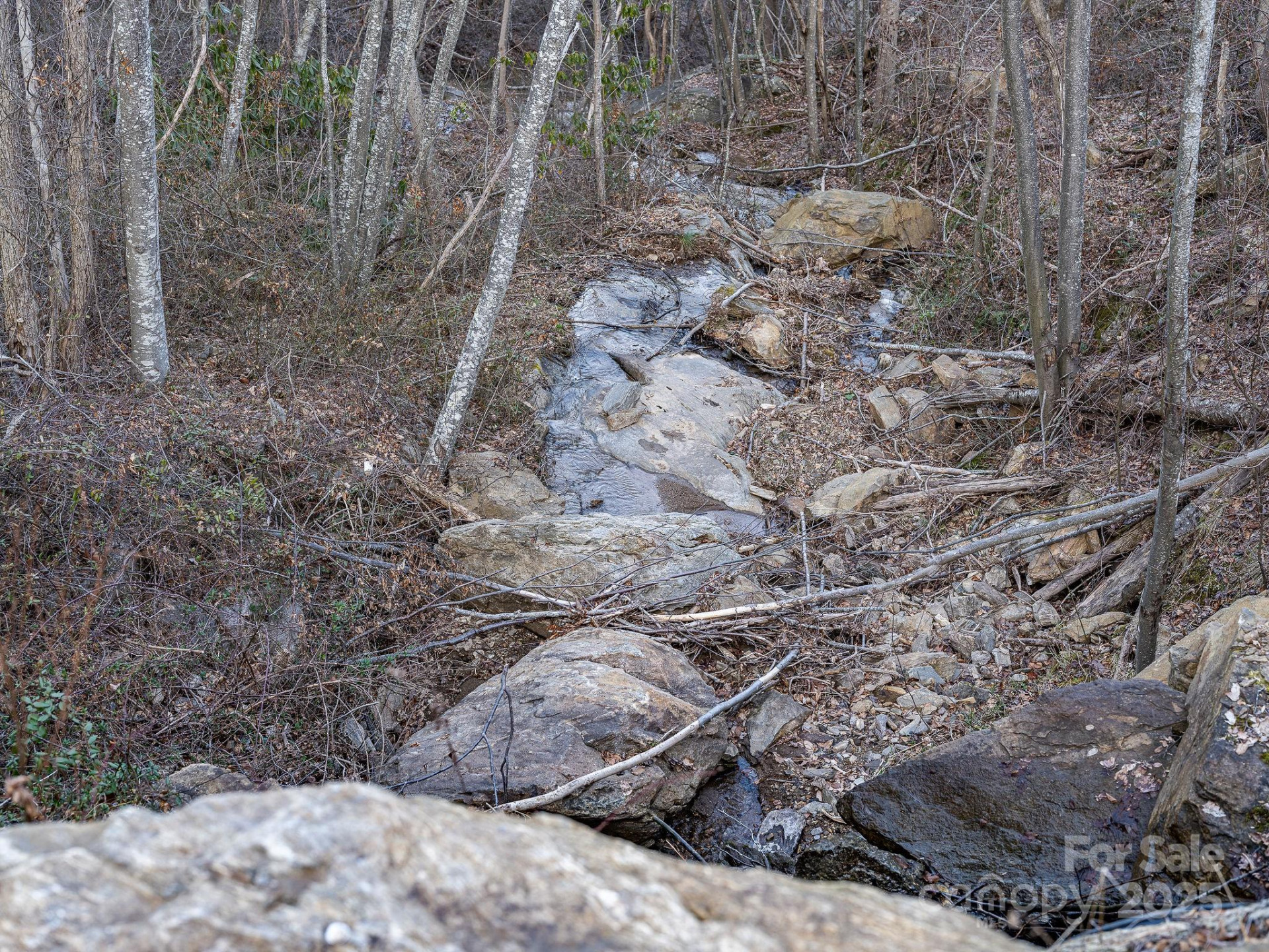 1851 Newfound Road - Photo 16