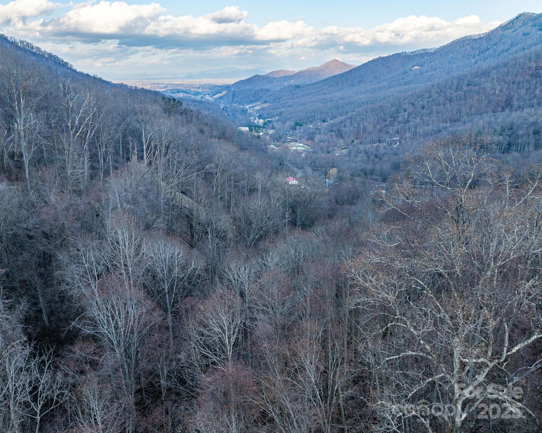 1851 Newfound Road - Photo 19