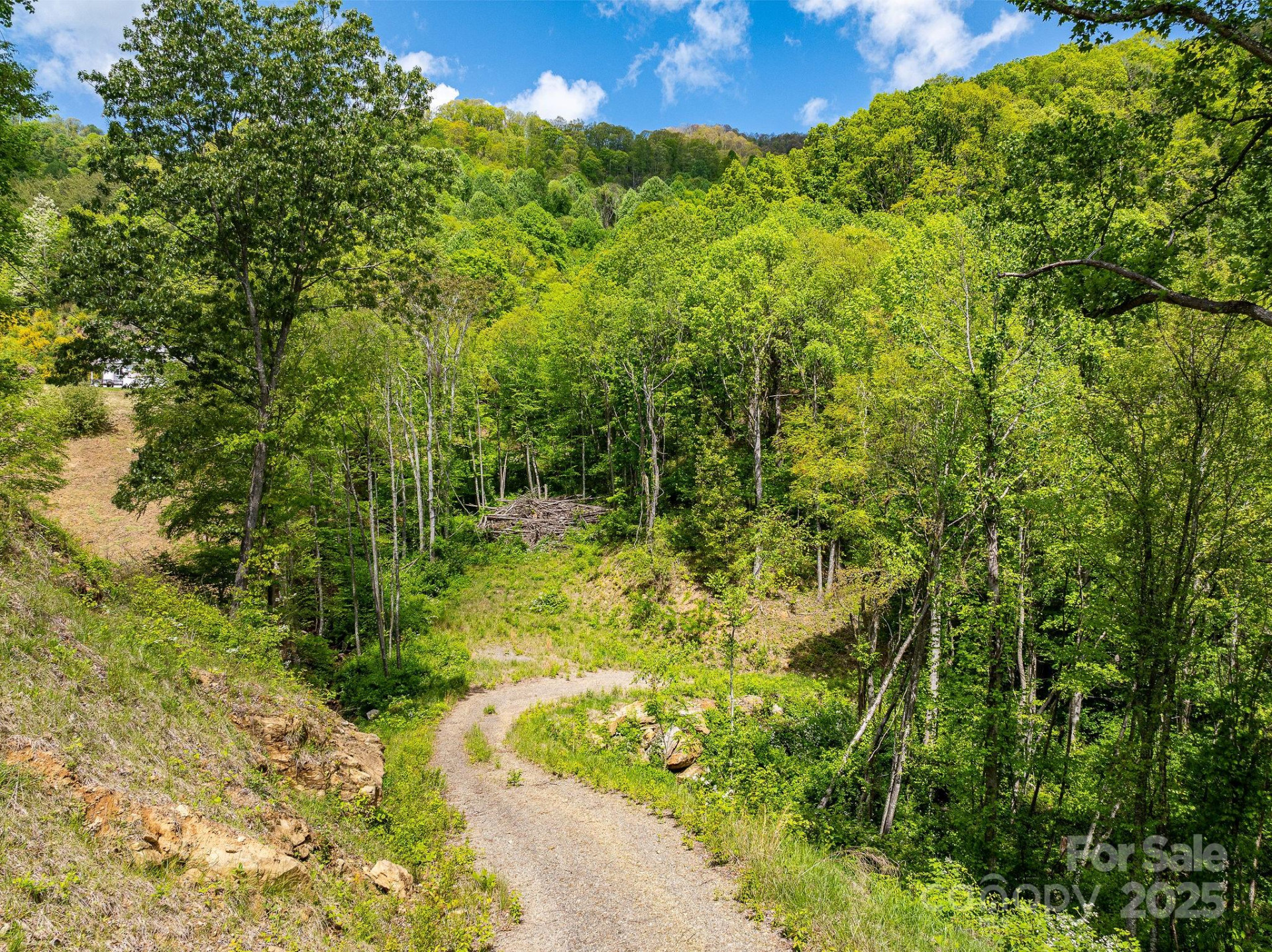 1851 Newfound Road - Photo 3