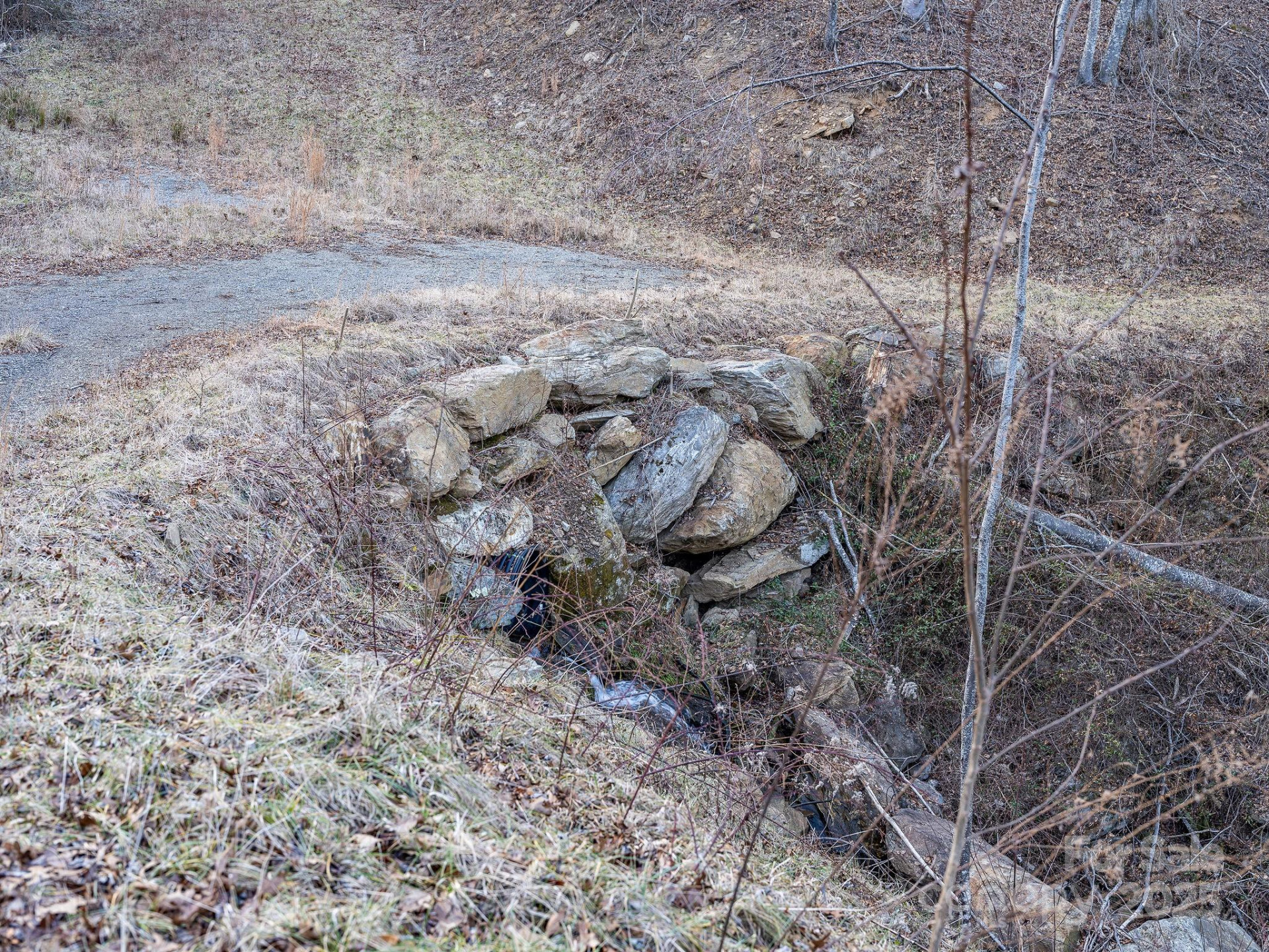 1851 Newfound Road - Photo 22