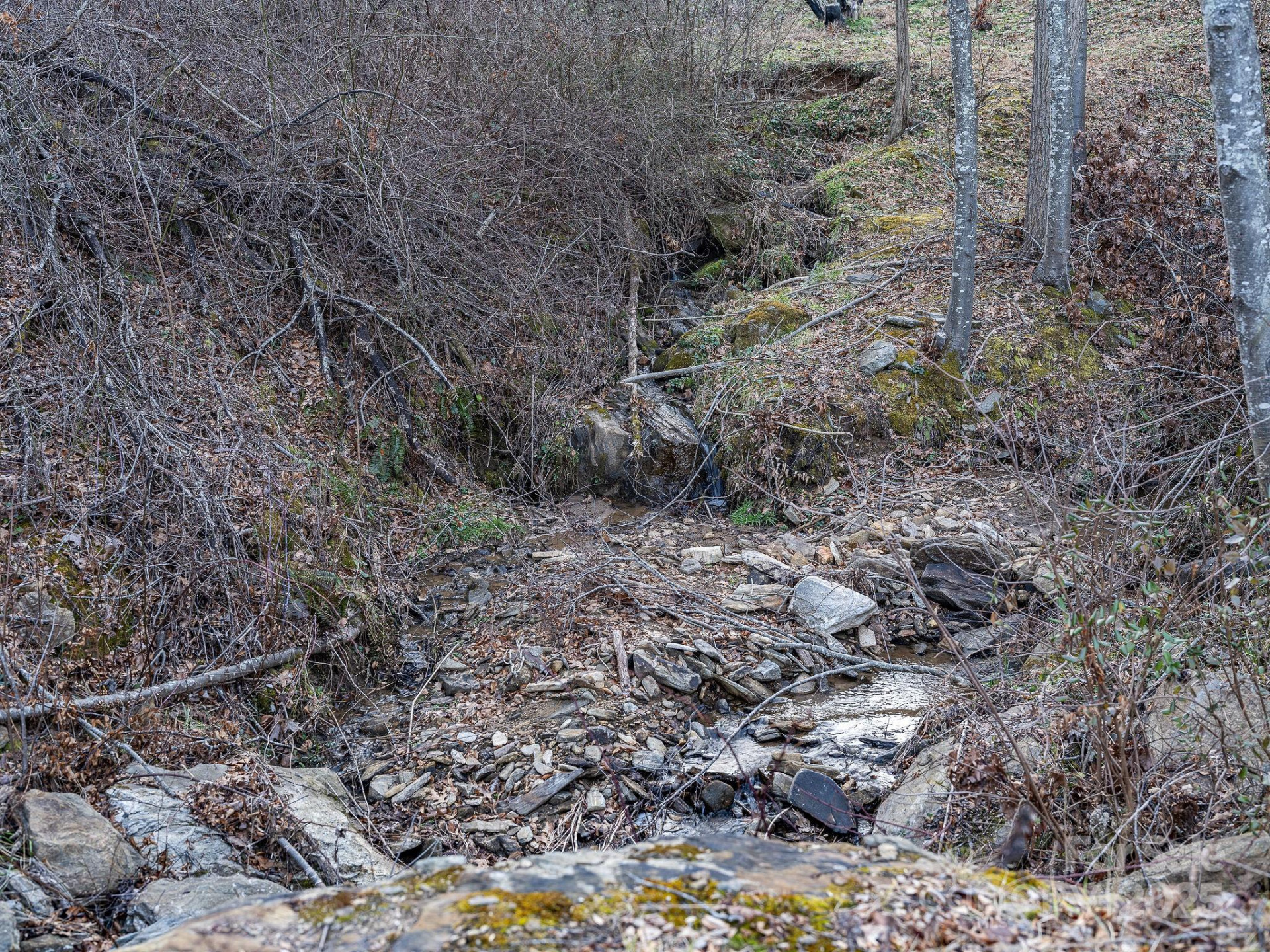 1851 Newfound Road - Photo 23