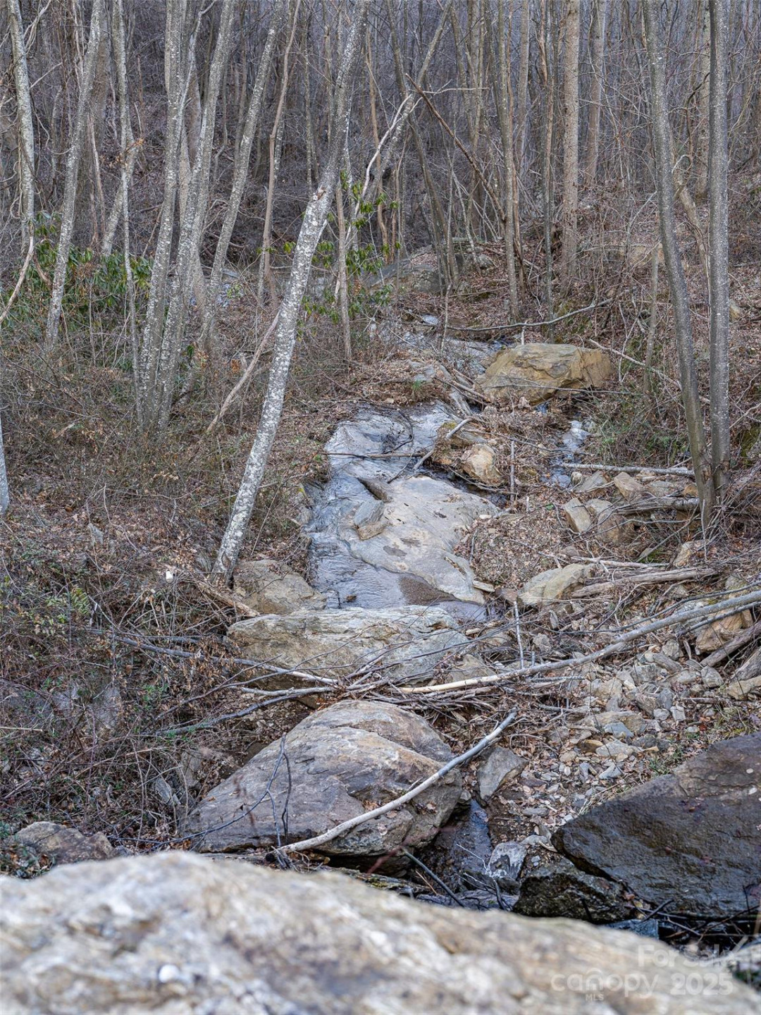 1851 Newfound Road - Photo 24