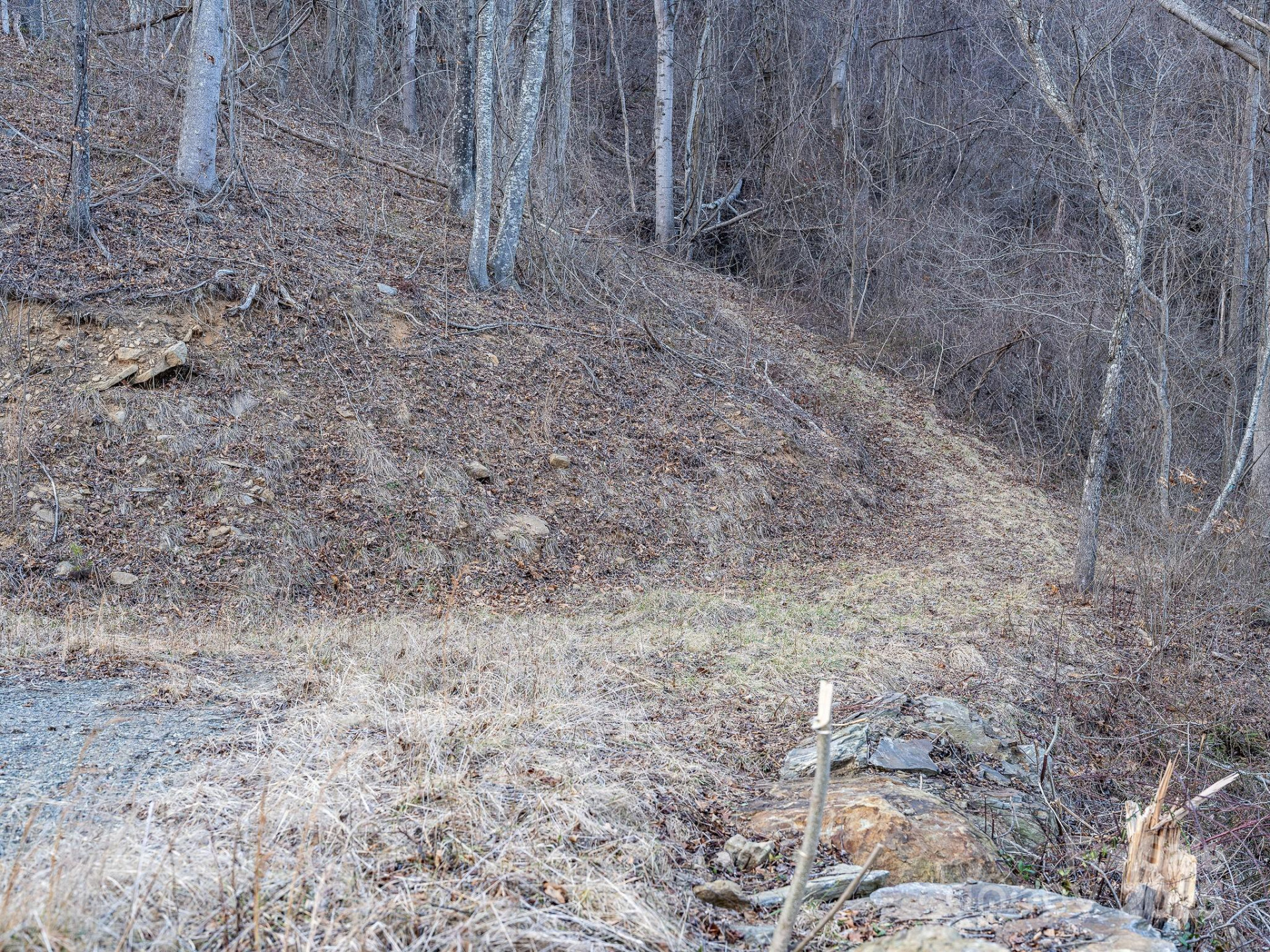 1851 Newfound Road - Photo 25
