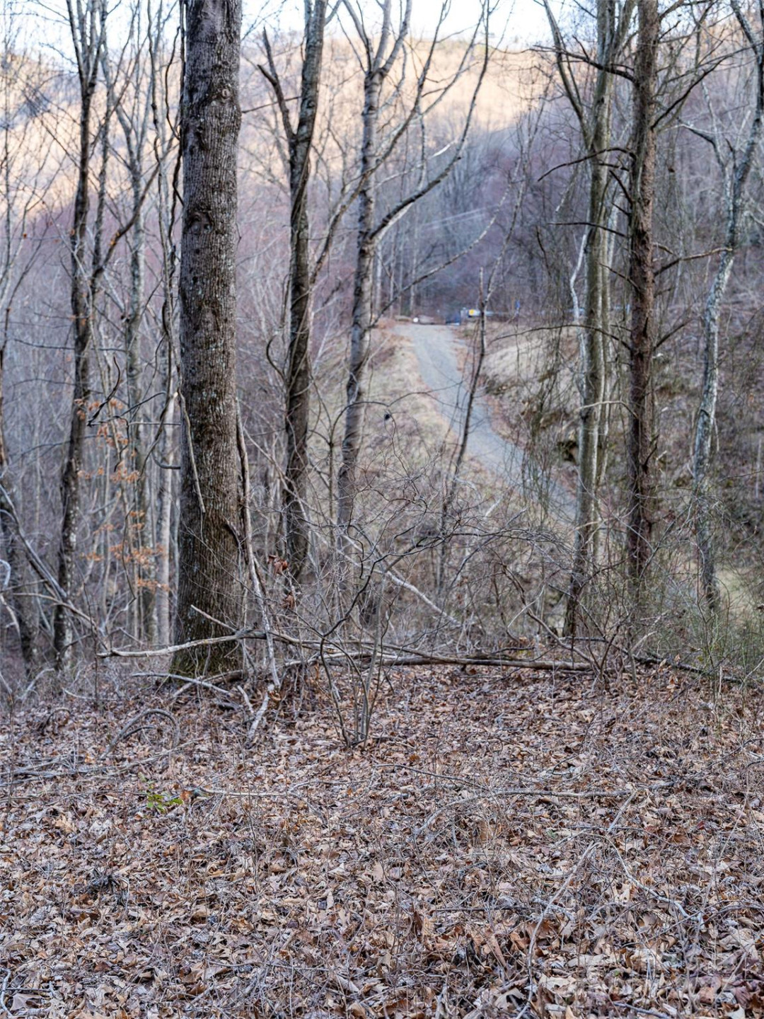 1851 Newfound Road - Photo 26