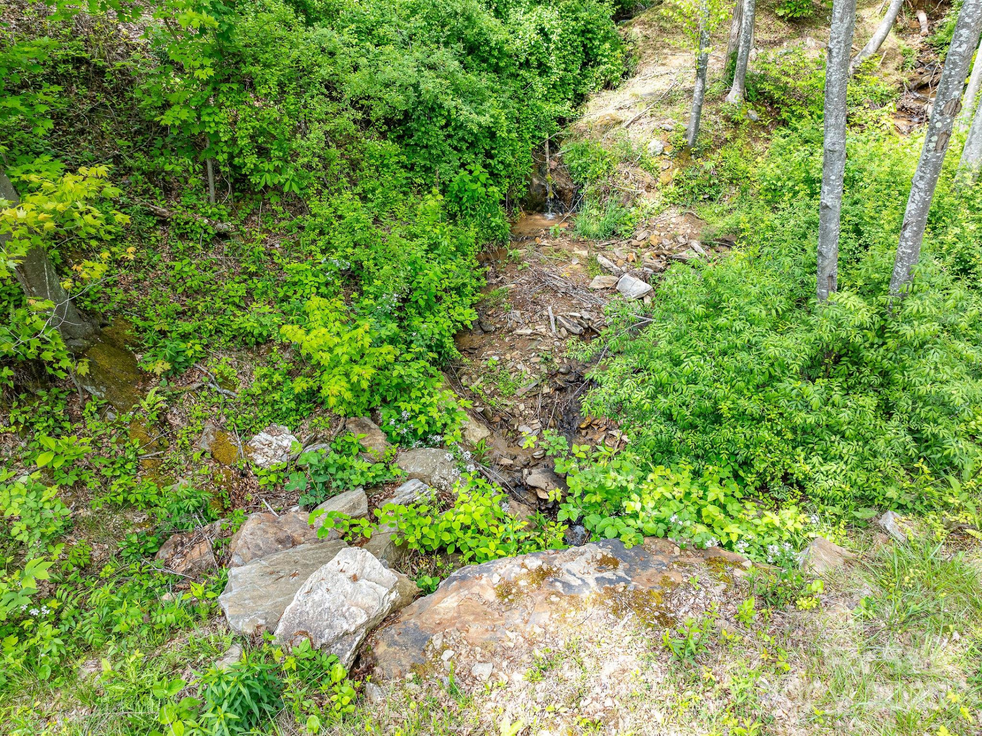 1851 Newfound Road - Photo 31