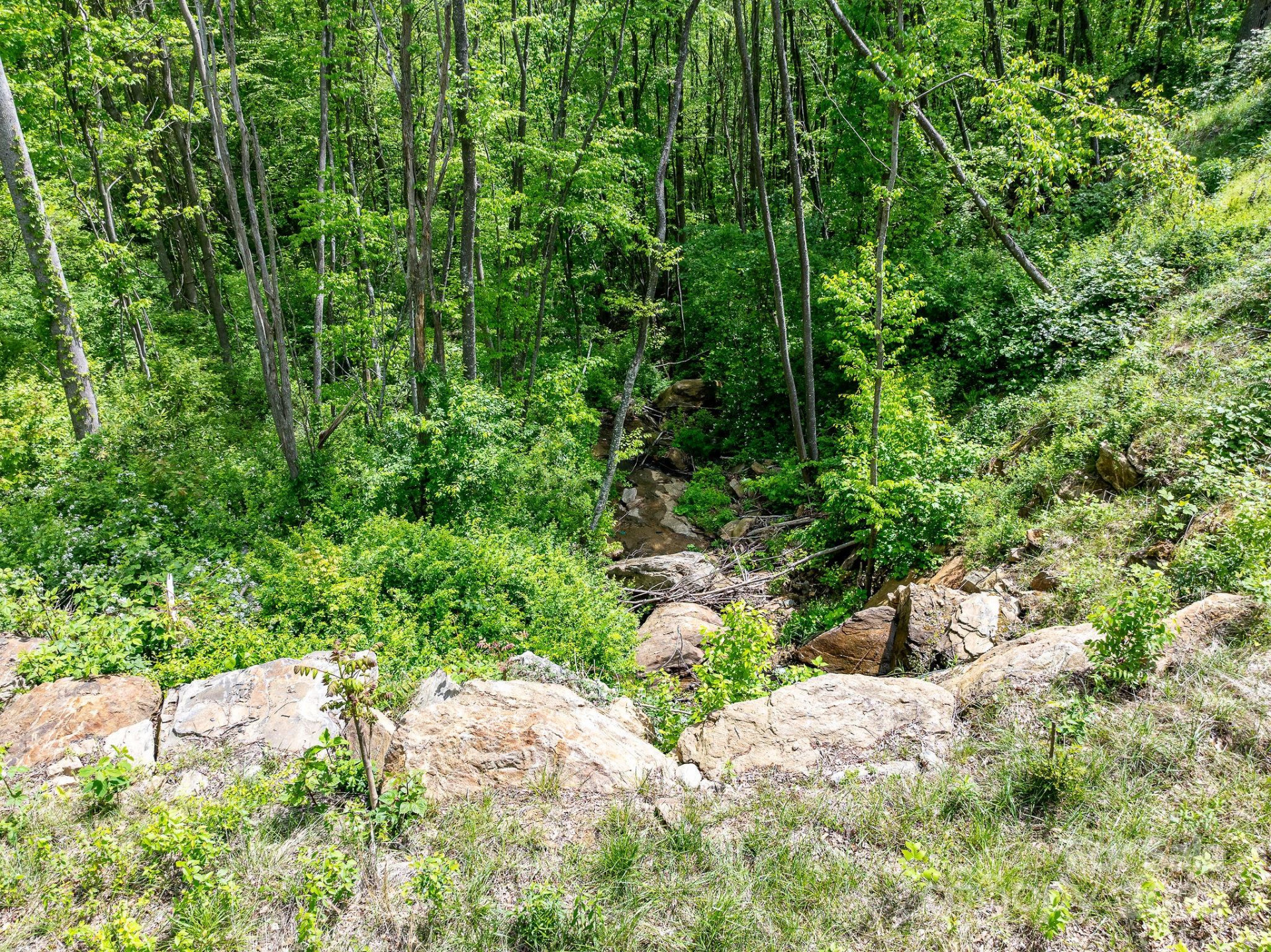 1851 Newfound Road - Photo 6