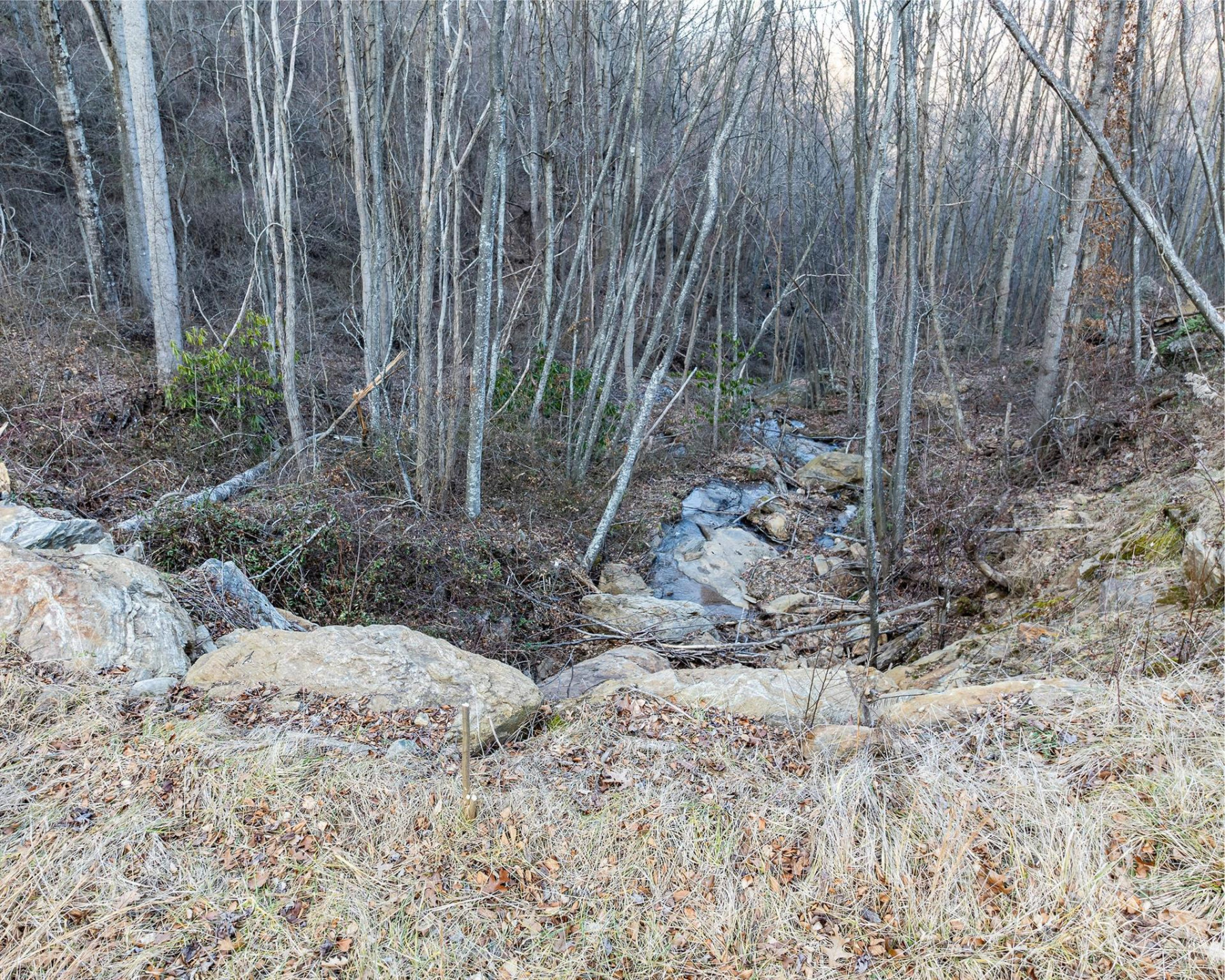 1851 Newfound Road - Photo 7