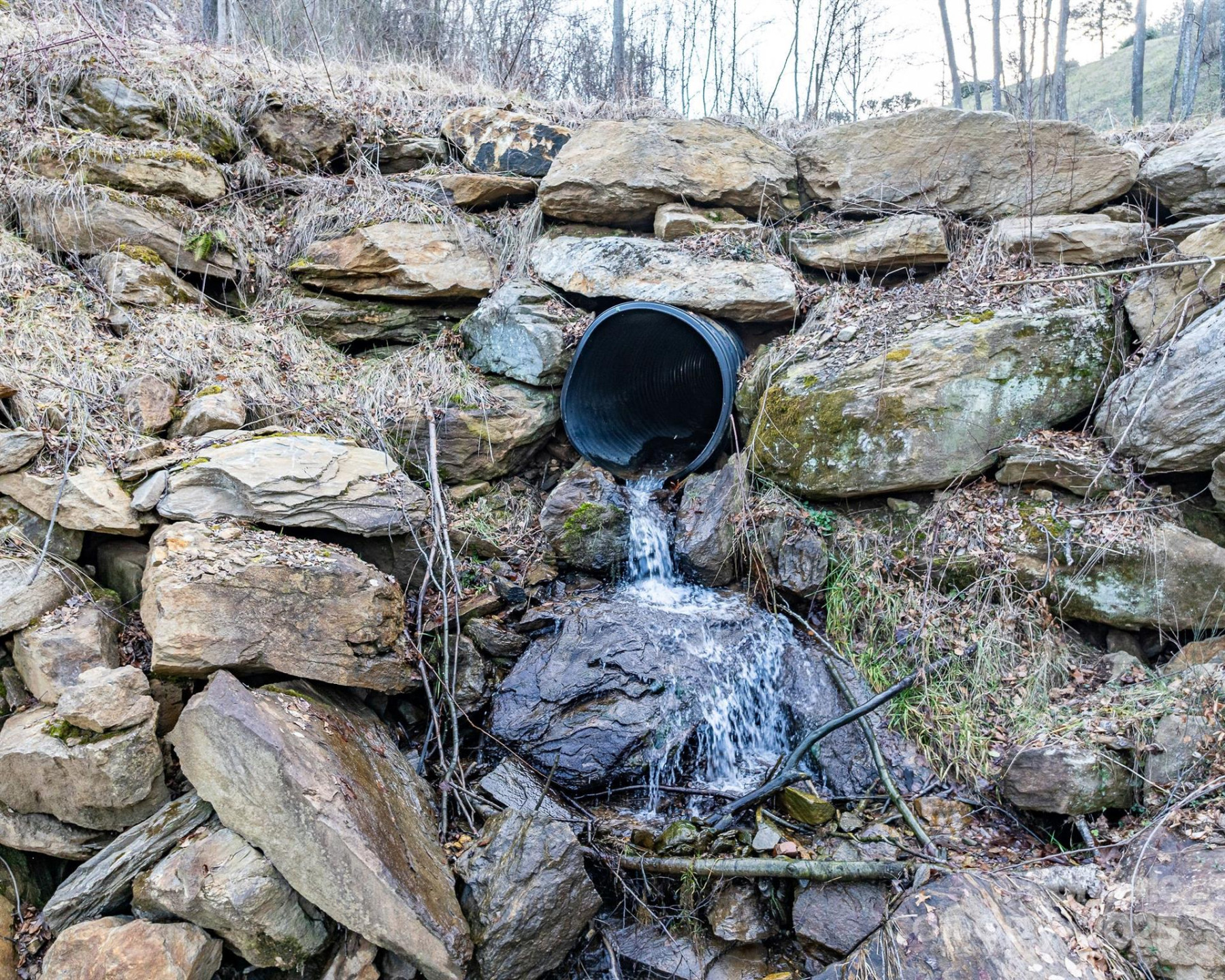 1851 Newfound Road - Photo 8