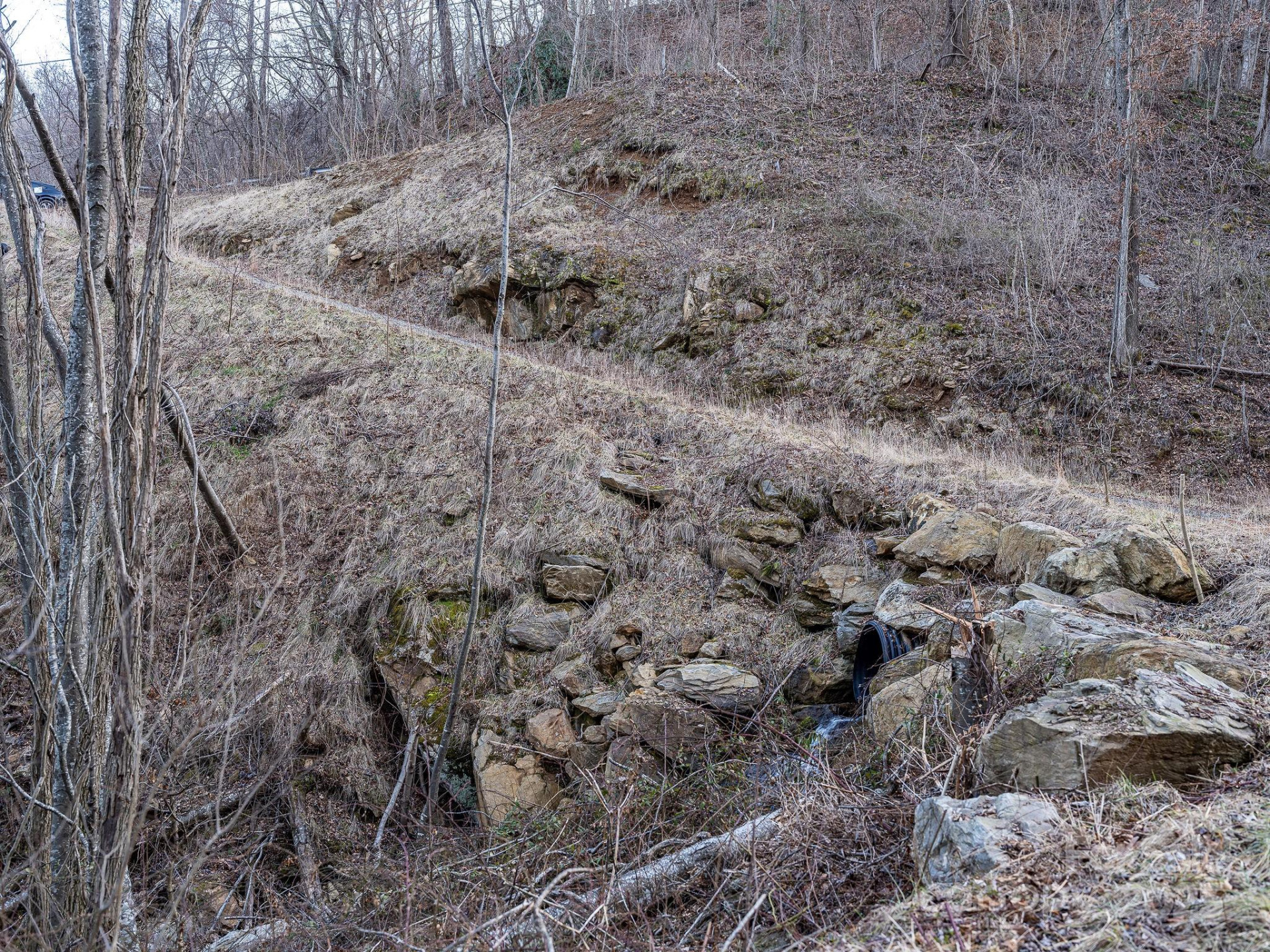 1851 Newfound Road - Photo 9