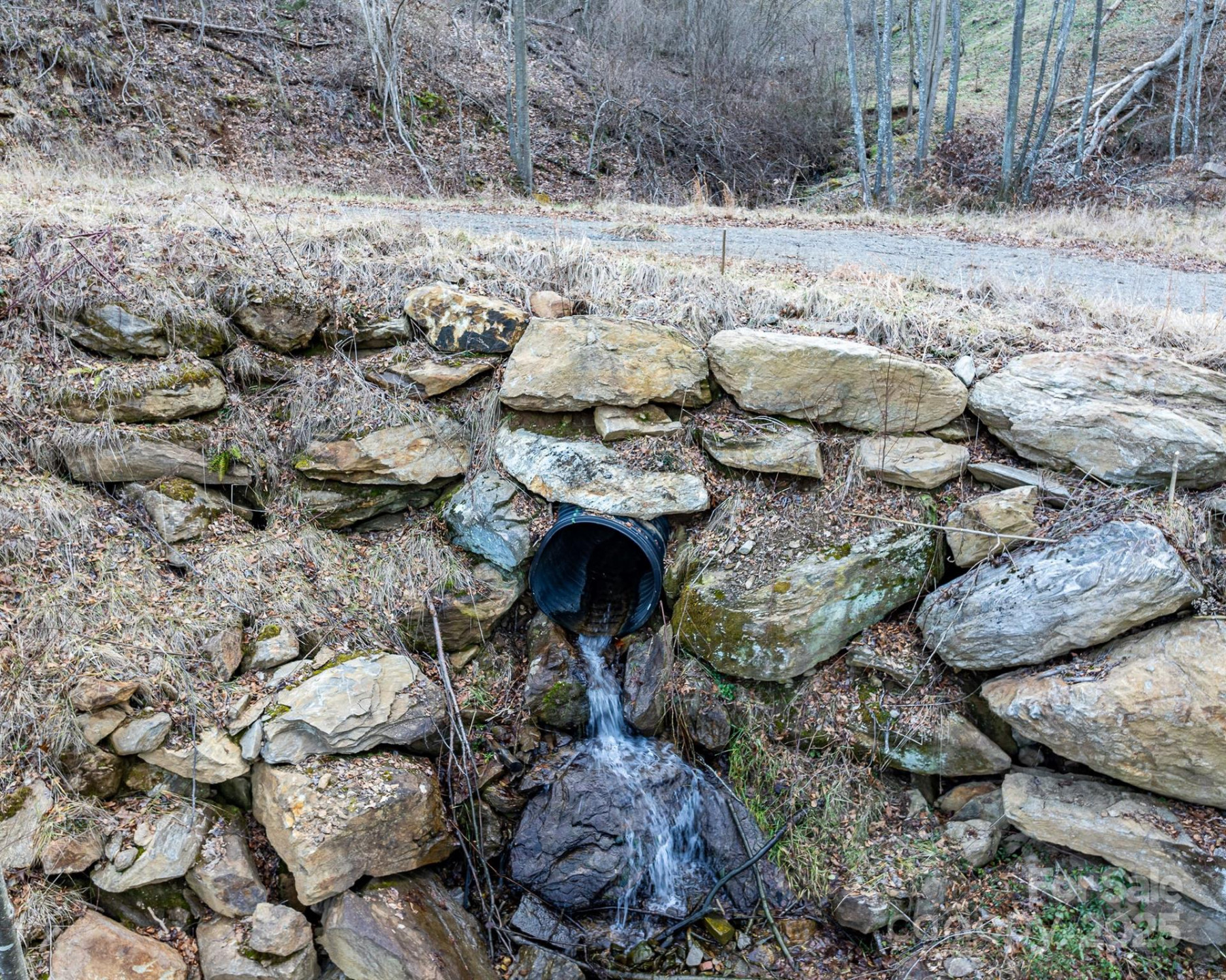 1851 Newfound Road - Photo 10