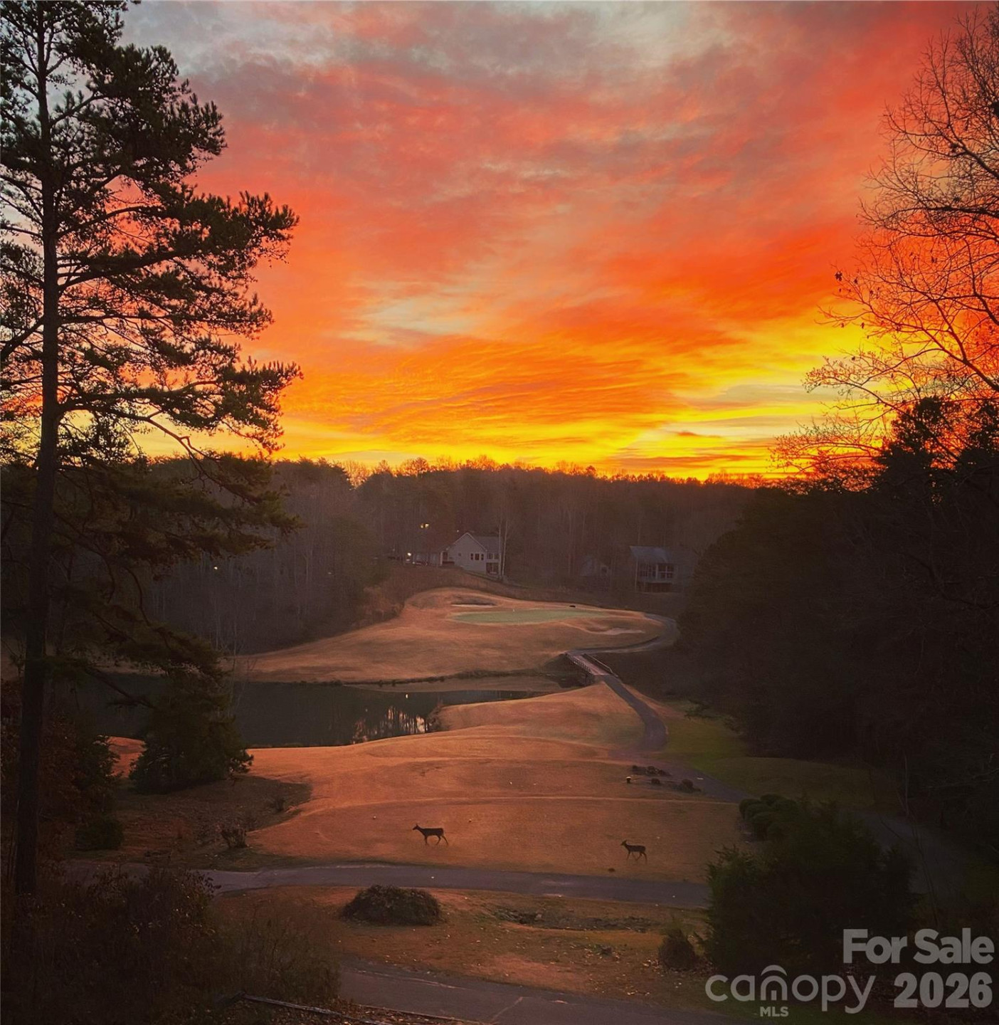 172 Summer Morning Court - Photo 3