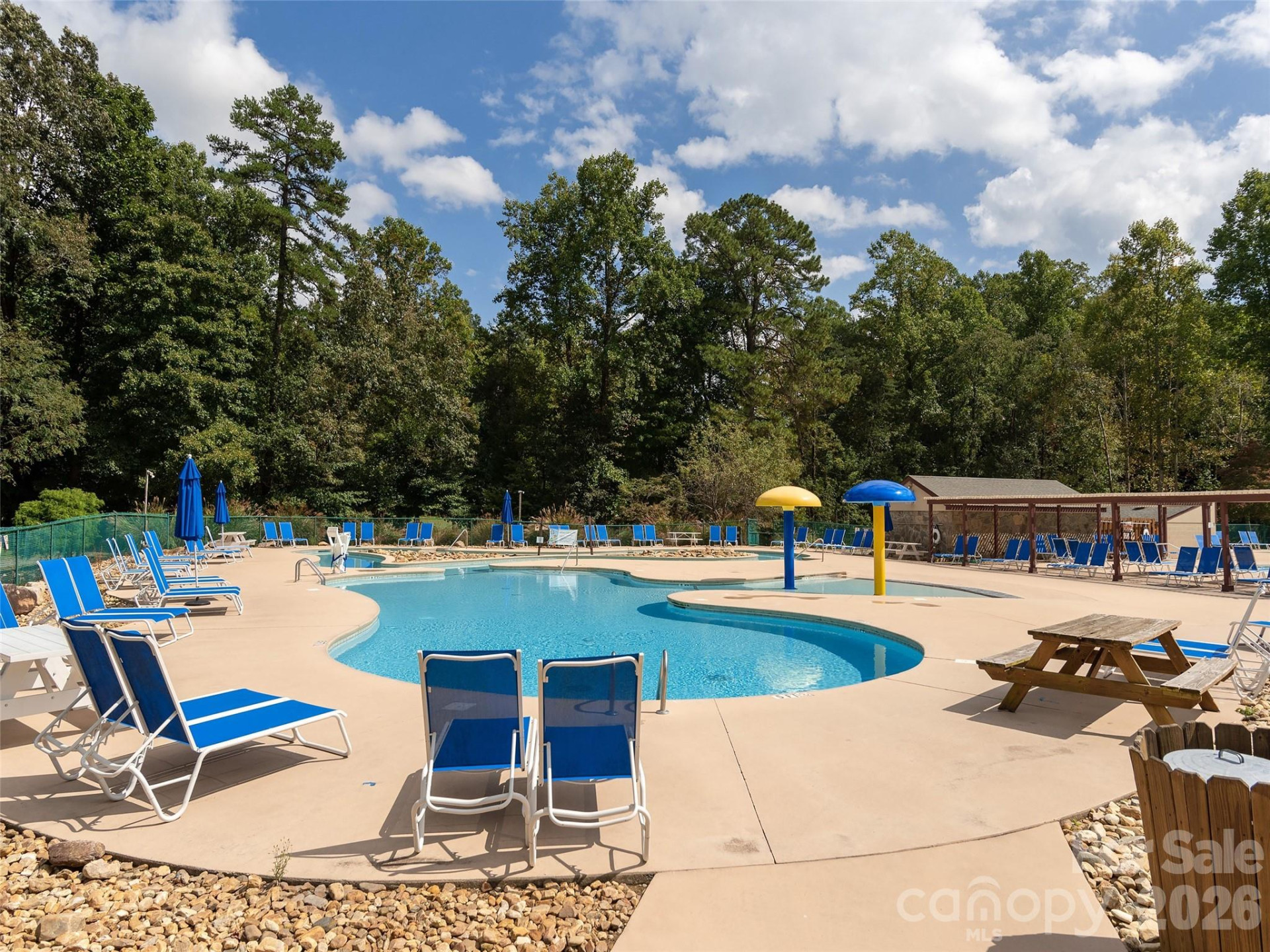 172 Summer Morning Court - Photo 40