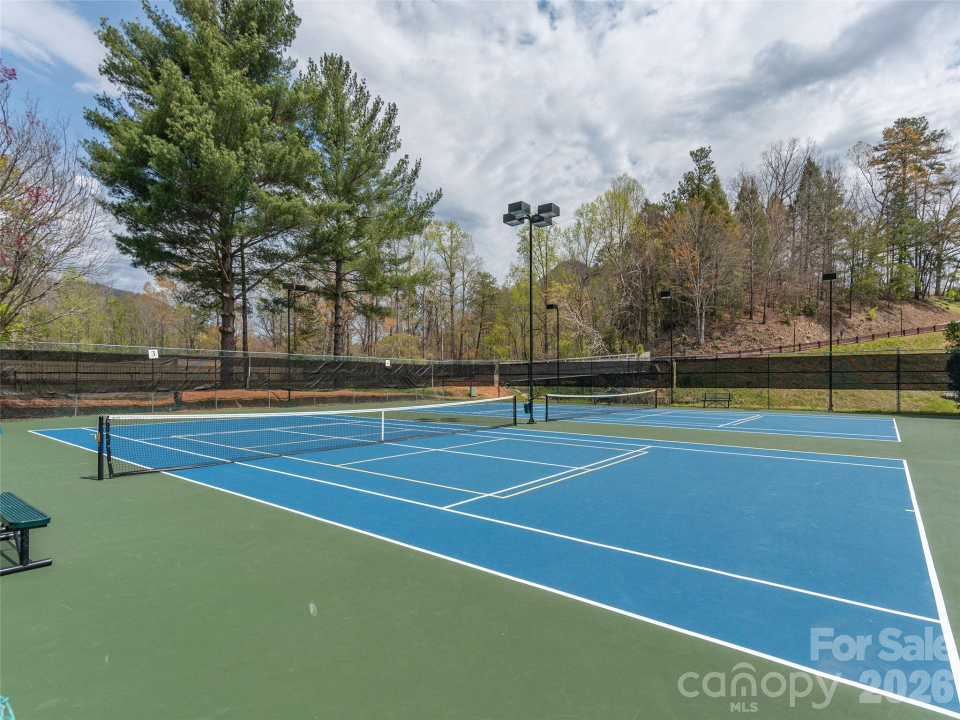 172 Summer Morning Court - Photo 42