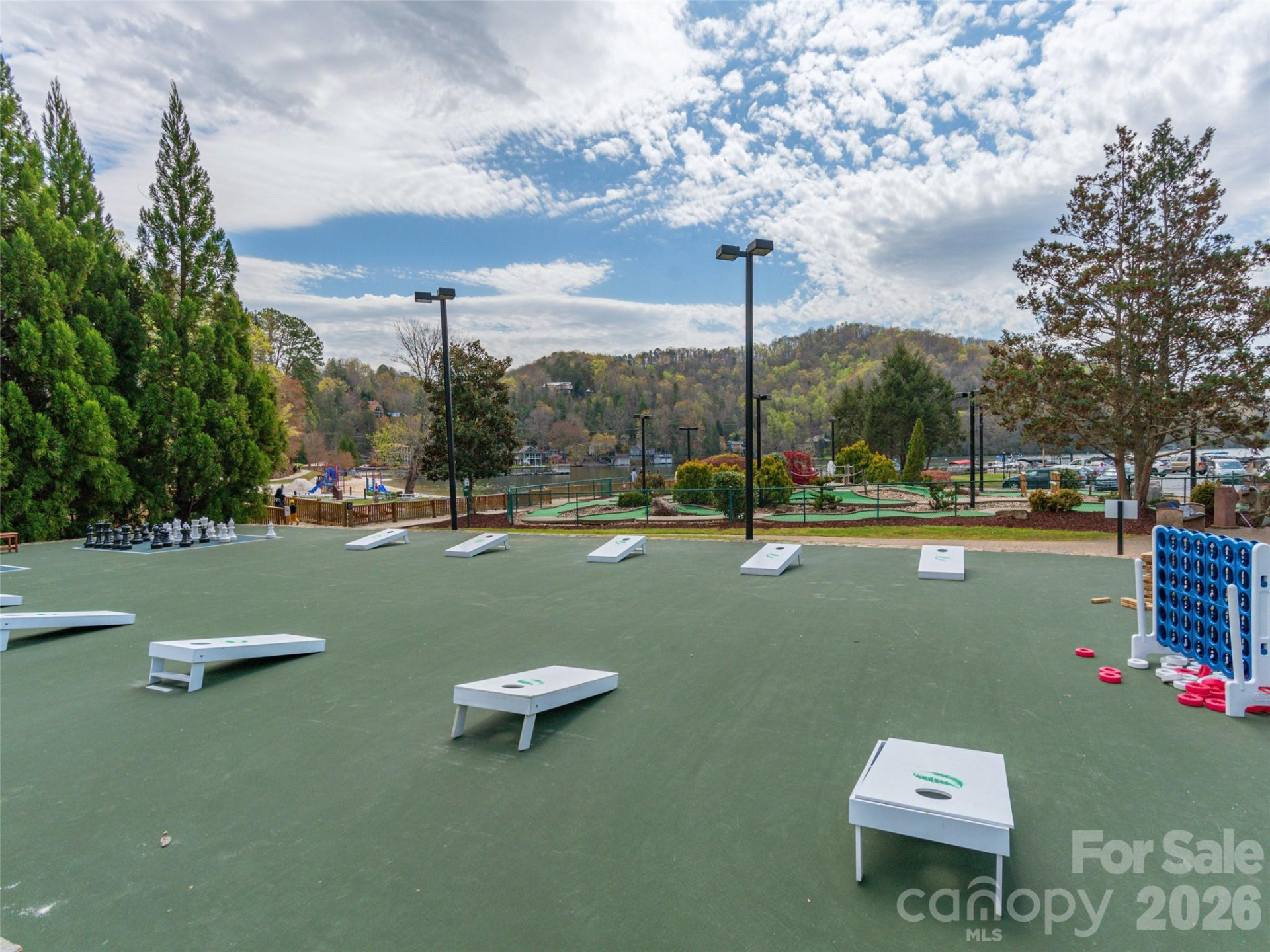 172 Summer Morning Court - Photo 43