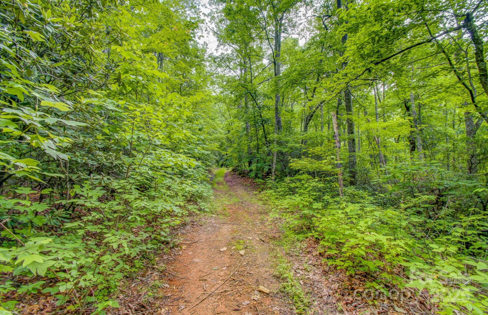 99999 Dark Cove Road - Photo 11