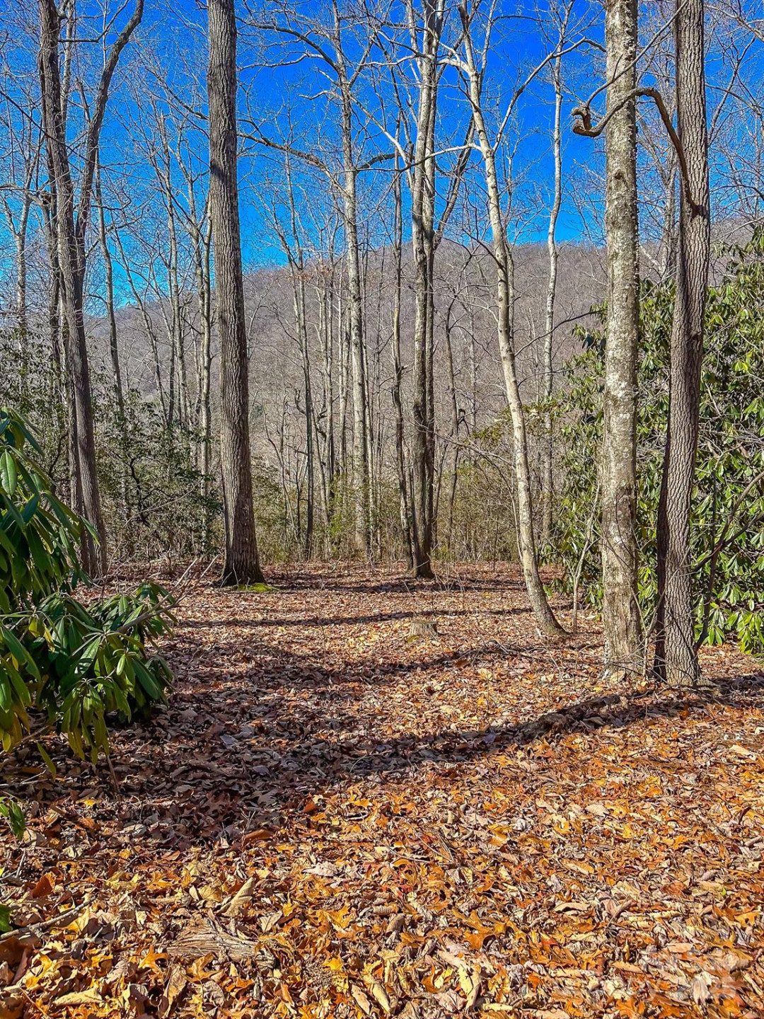 99999 Dark Cove Road - Photo 12