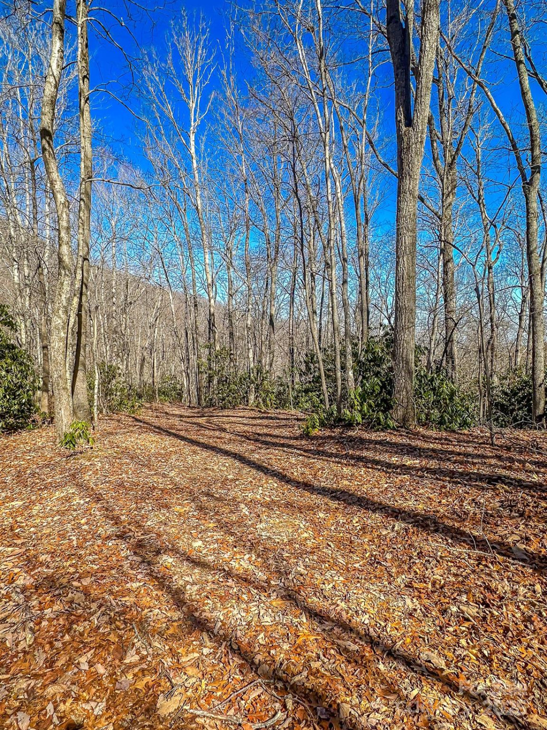 99999 Dark Cove Road - Photo 13