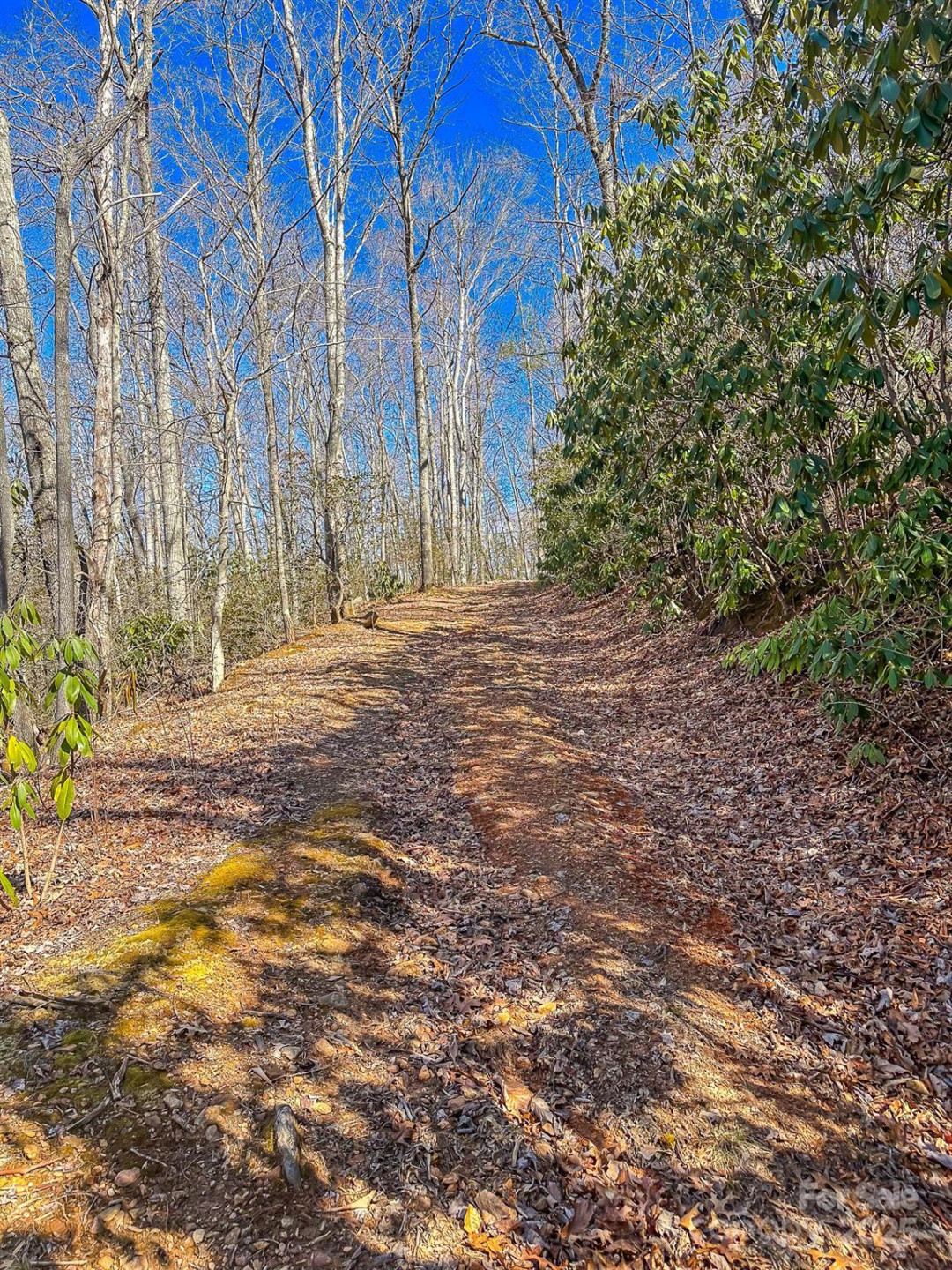 99999 Dark Cove Road - Photo 14