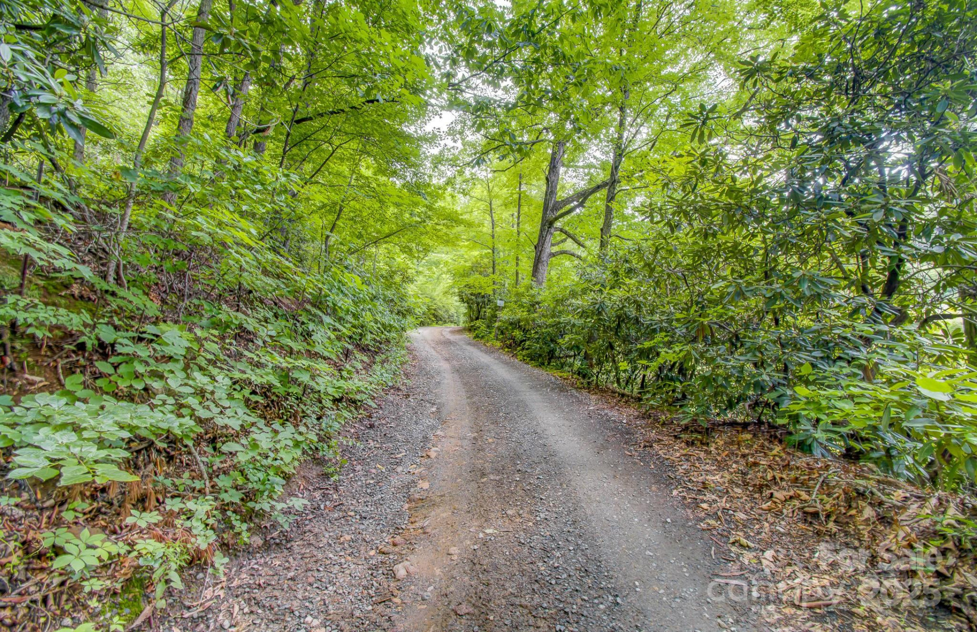 99999 Dark Cove Road - Photo 7