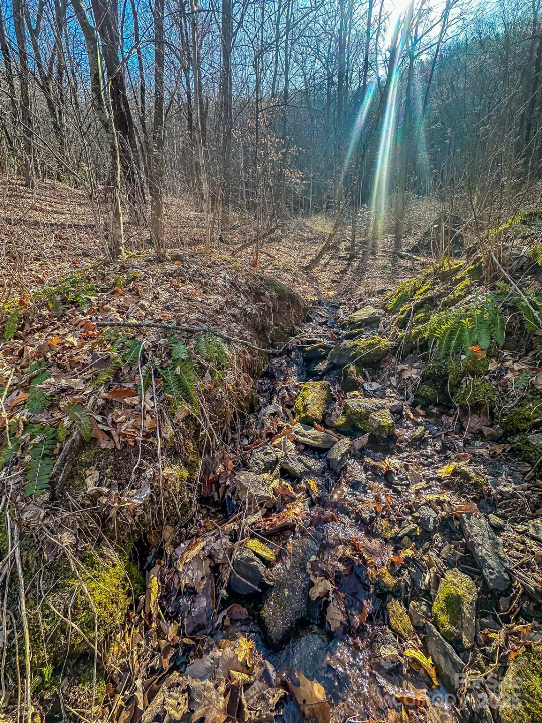 99999 Dark Cove Road - Photo 8