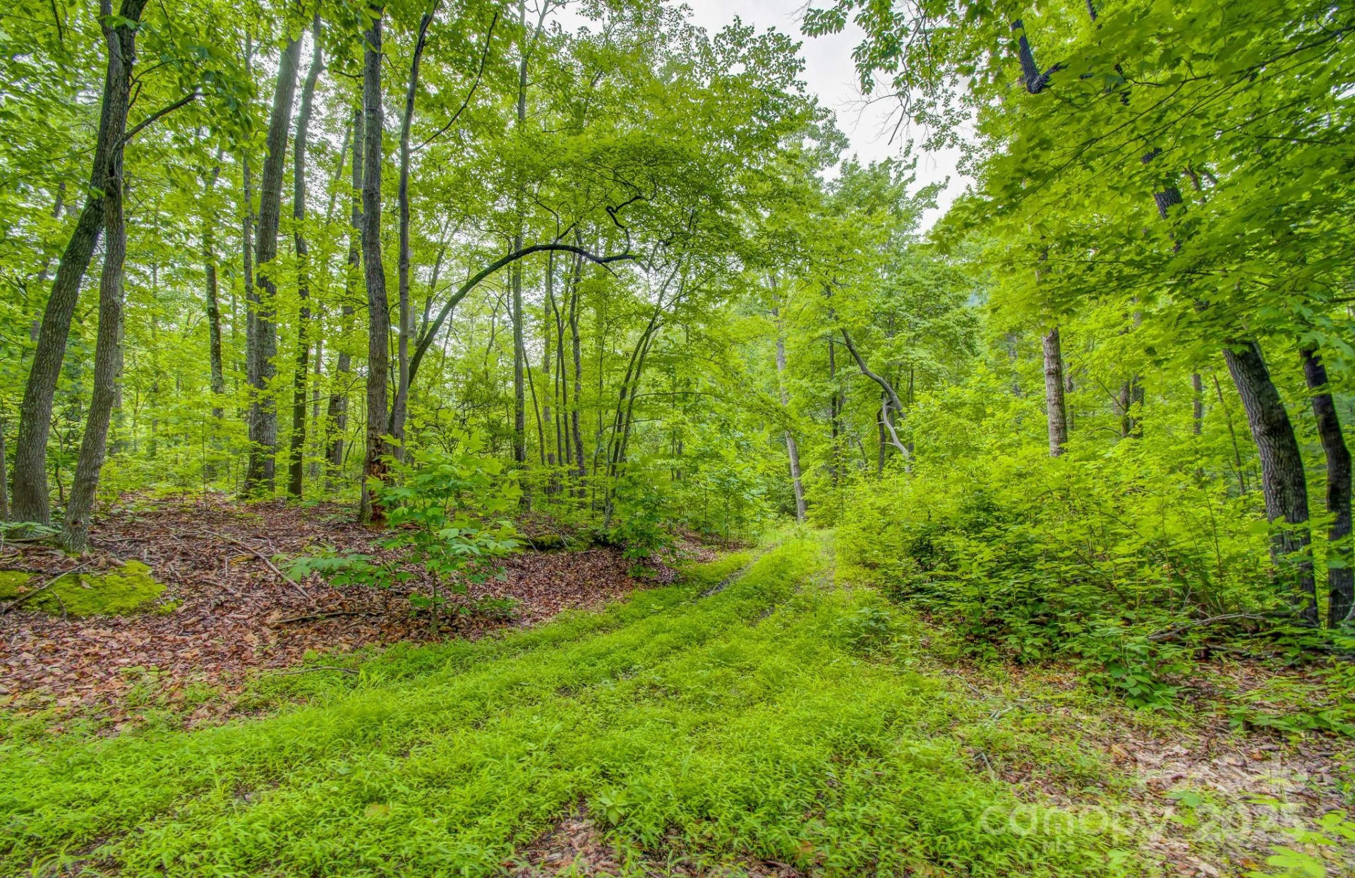 99999 Dark Cove Road - Photo 9