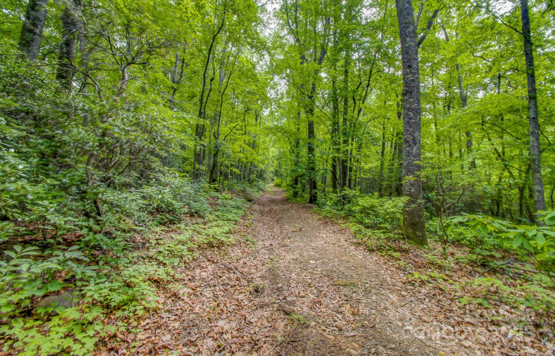 99999 Dark Cove Road - Photo 10