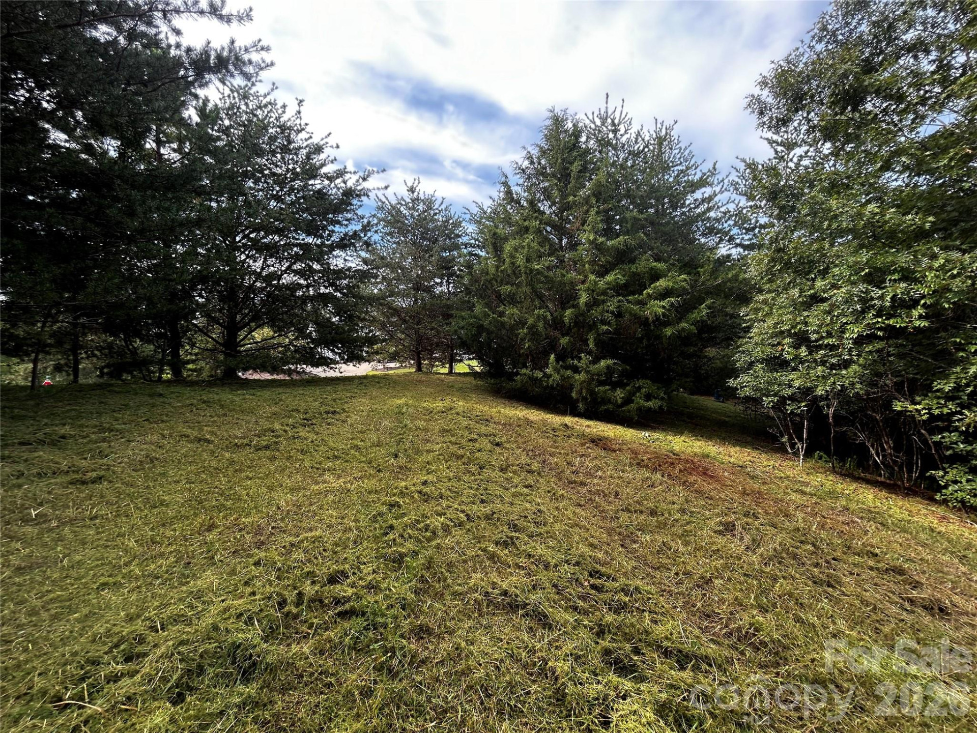 Lot 50 & 50A Mountain Parkway #50, 50A - Photo 2