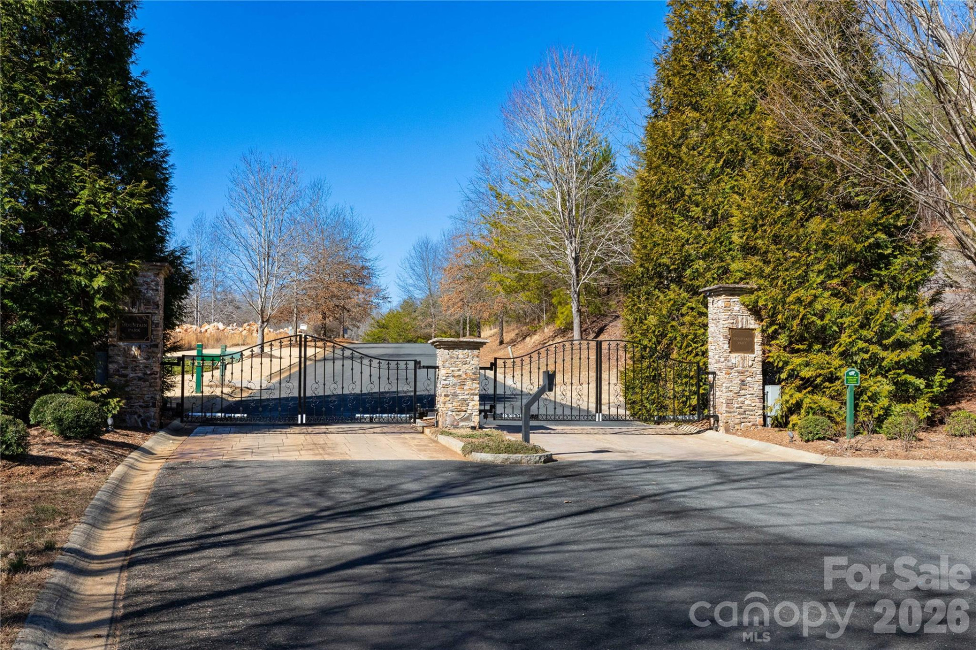 Lot 50 & 50A Mountain Parkway #50, 50A - Photo 11